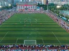 双色球秘籍,期必中三红,精选,山东体彩,山东体彩网,山东体彩网官网,体育彩票,体彩大乐透,竞彩足球,体彩公益