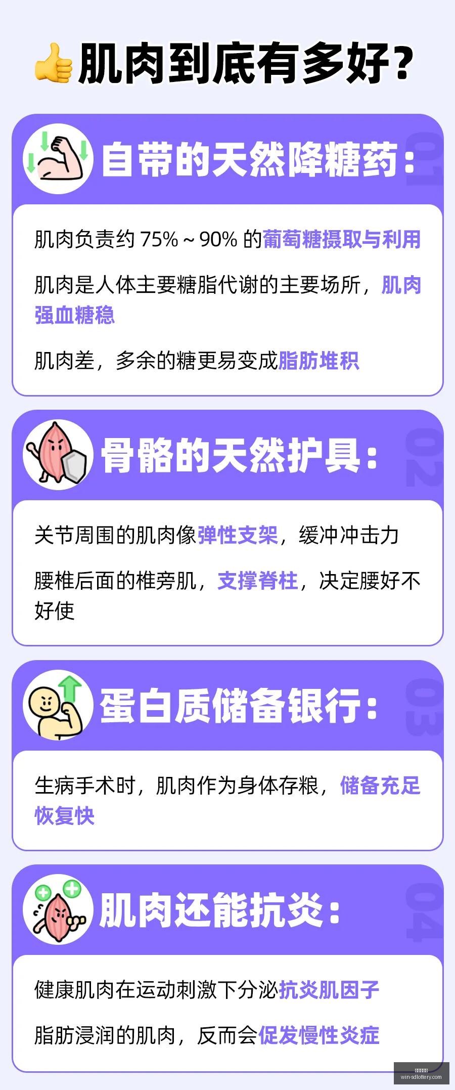 墨西超赛事,深度解析,莱昂对决圣,山东体彩网官网,山东体彩投注,山东体彩网结果,山东体彩网入口,官方彩票服务