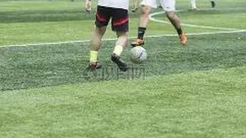 山东体彩网 资讯 112112 mcn