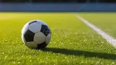 【剑指星穹】2026年第22期前瞻解读：神秘号码__6,6__今日揭晓！