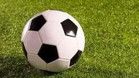 [白羽]大乐透第2026010期综合意见后区五胆，成绩不错