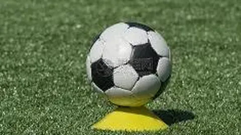 【双色球盛宴揭晓】第2026018期中奖号码大公开，独家杀蓝秘籍，果断入手，好运随行！