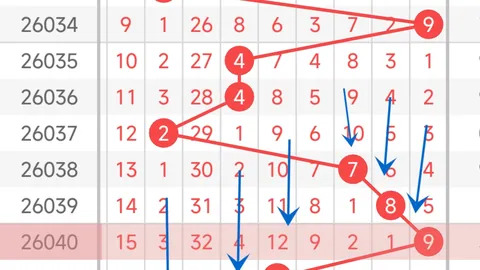 红牡丹双色球第2026024期专家预测：红球杀号04 09