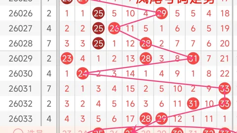 大乐透26024期专家预测：四区胆码精选