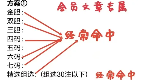 第2026083期 大乐透2026083期专家质合推荐前区十