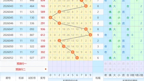 排列五第2026105期玄易伴彩分析 推荐杀码