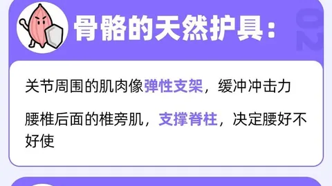 墨西超赛事深度解析：莱昂对决圣路易斯竞技，比分预测一览